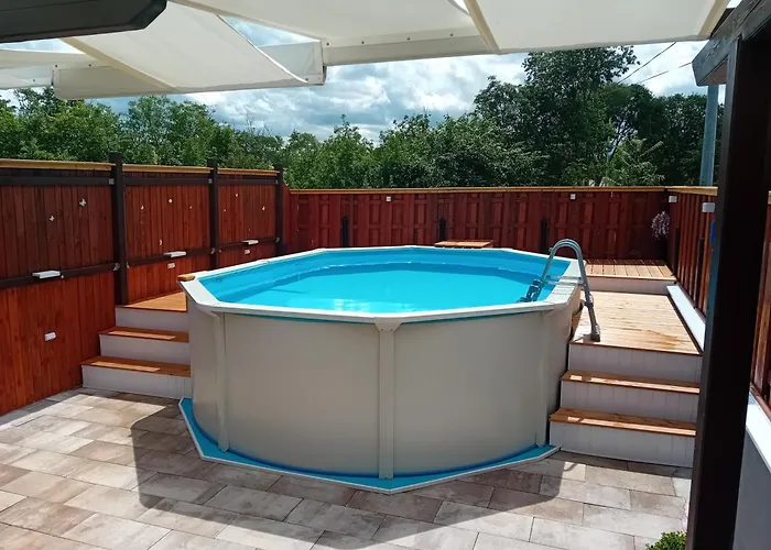 House With A Swimming Pool Konjevrate, Krka - 24925